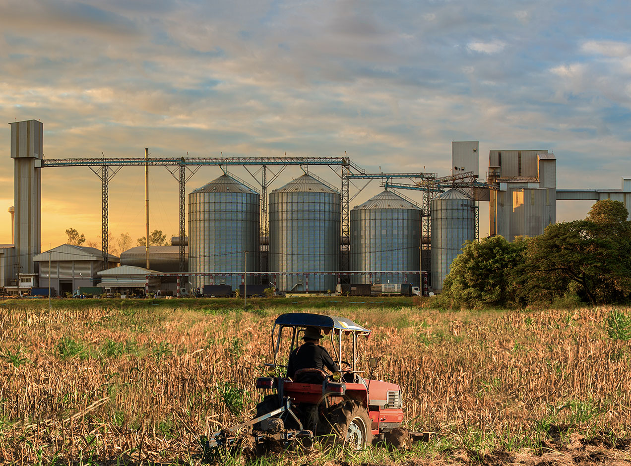 Industrial & Plantations